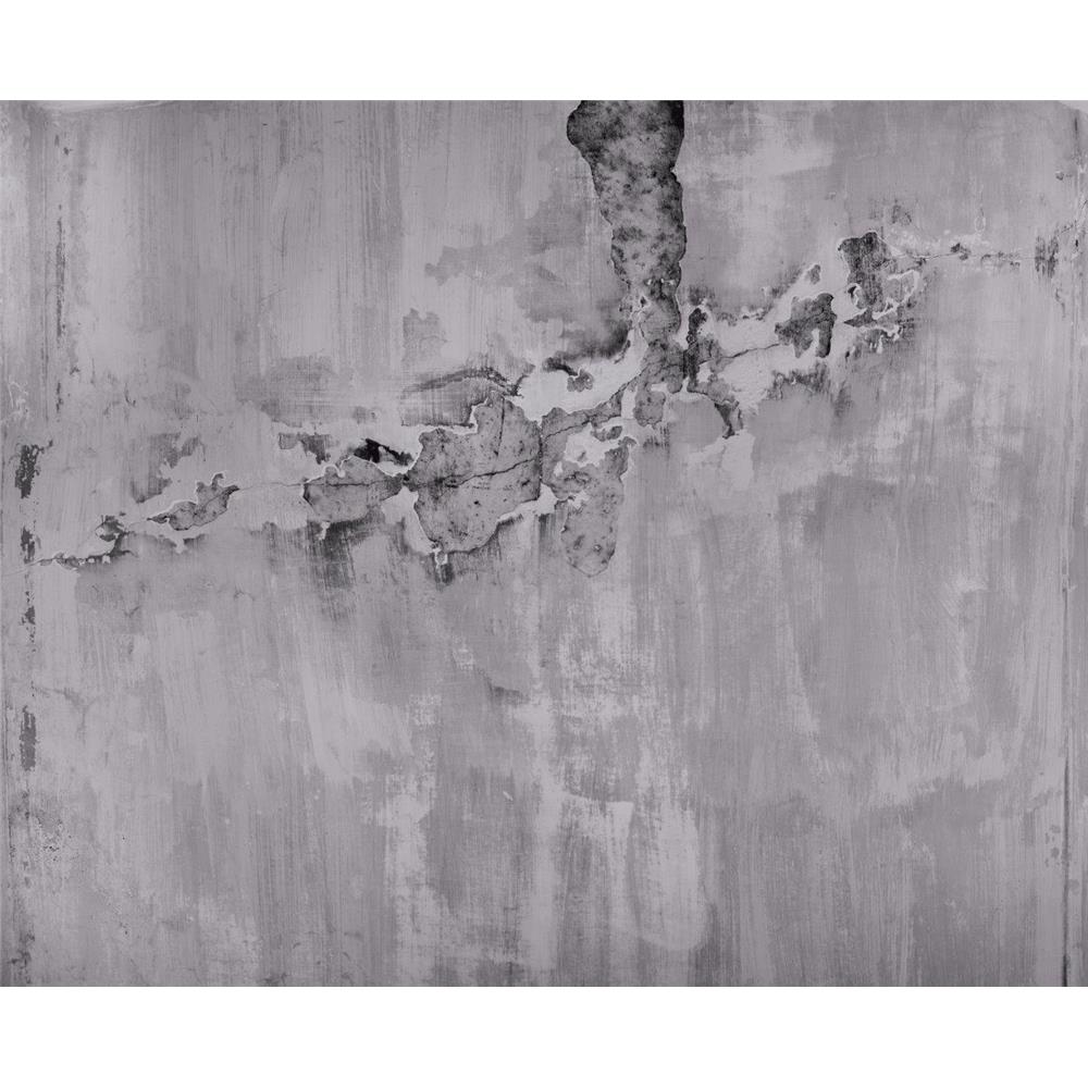Washington Wallcoverings 439908 Factory II Pale Gray Distressed Concrete Wall Mural 10.6 Ft X 8 Ft